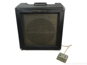 Ampeg R-15-R Supereverb/Reverberocket 1963