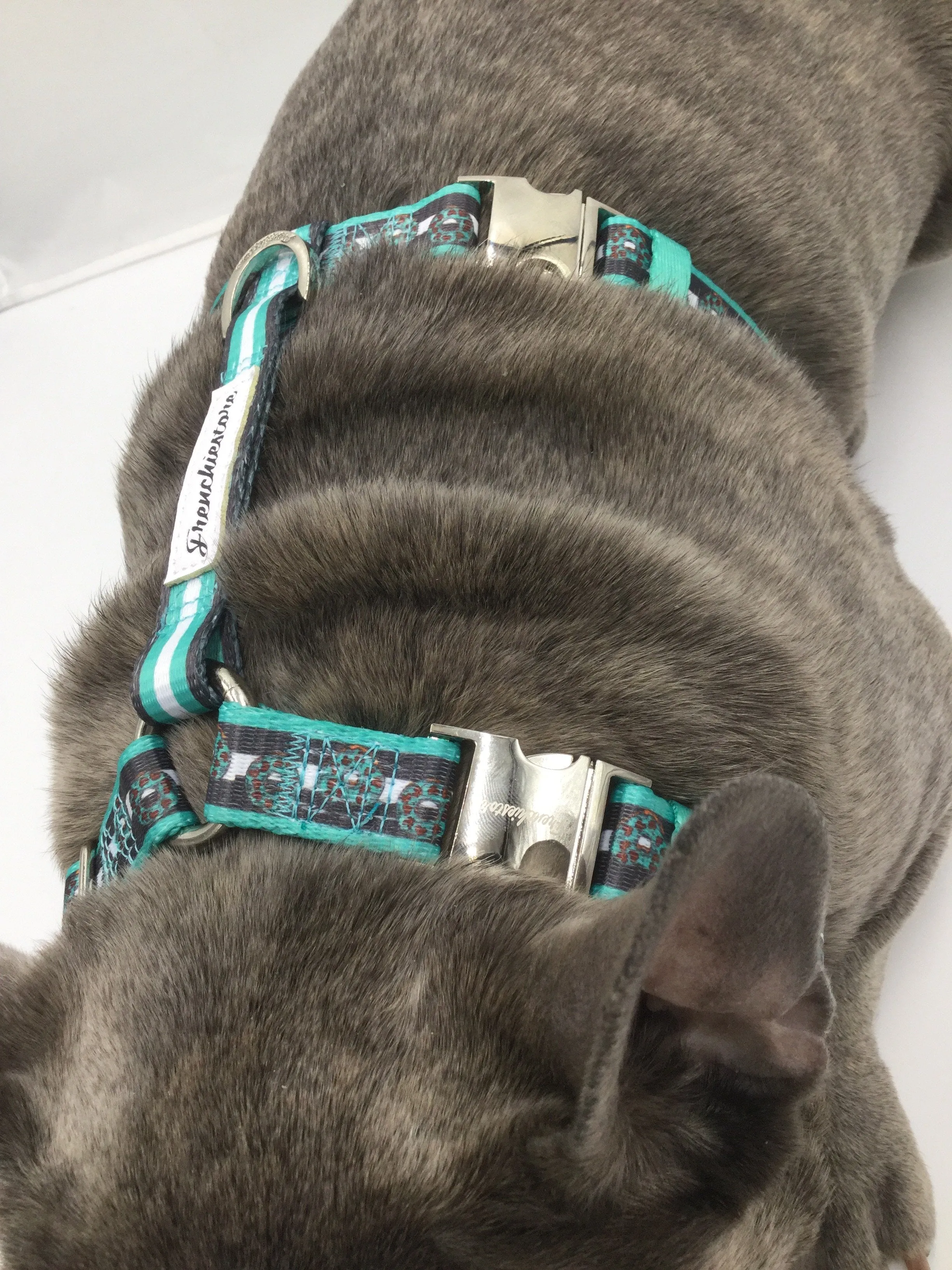 Frenchiestore Adjustable Pet Health Harness | Frenchie love in Teal