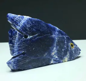 Natural Sodalite gemstone Tropical Fish