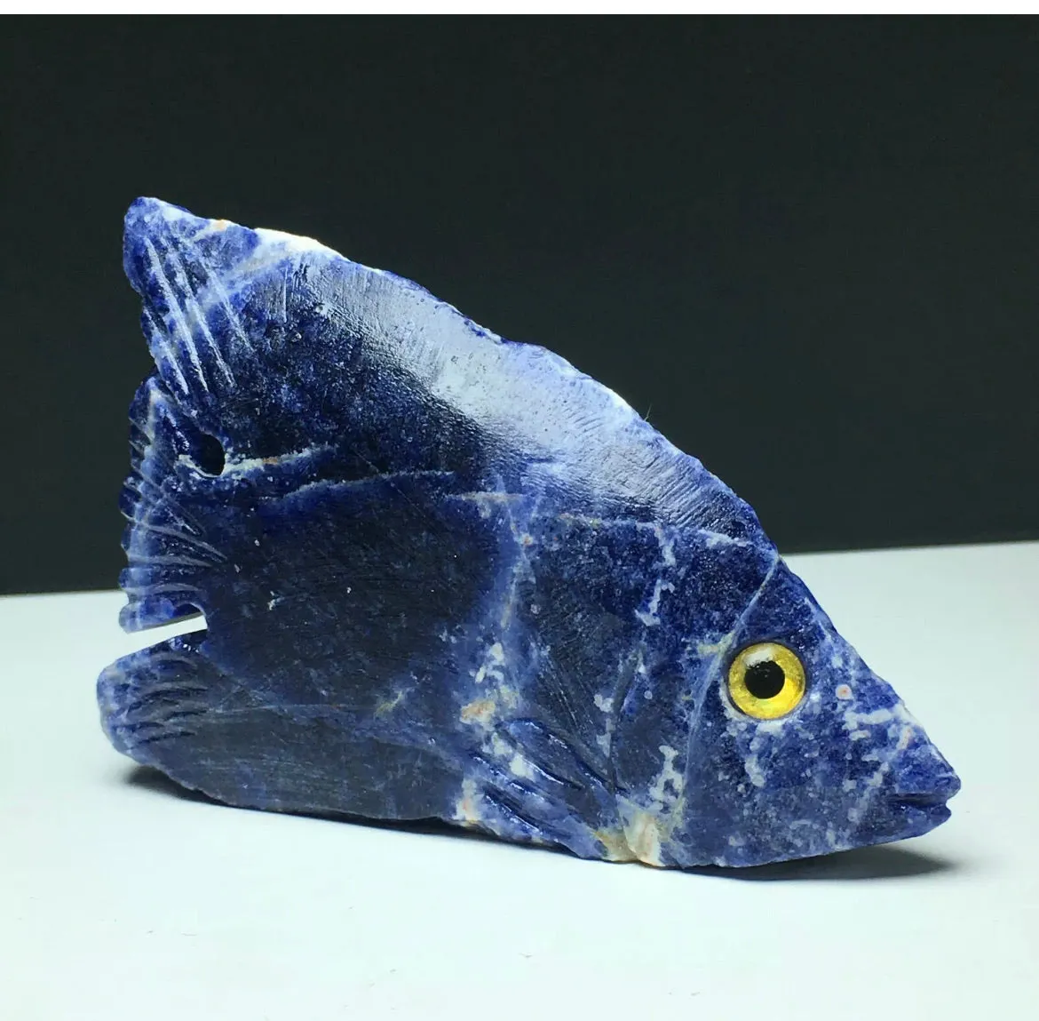 Natural Sodalite gemstone Tropical Fish