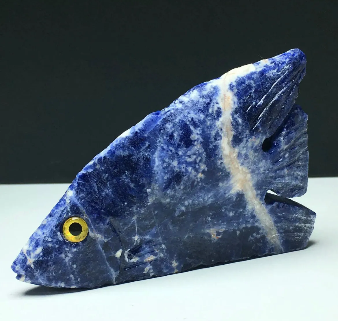 Natural Sodalite gemstone Tropical Fish